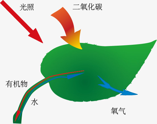 快看这里可以卖空气赚钱