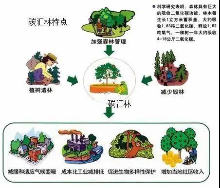 src=http_%2F%2Fn.sinaimg.cn%2Fsinakd20119%2F38%2Fw452h386%2F20210603%2F59b8-kracxep9769258.jpg&refer=http_%2F%2Fn.sinaimg.jpg