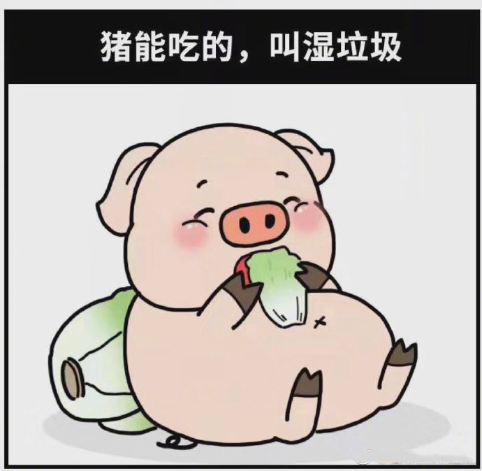 20190724183513_1940.jpg