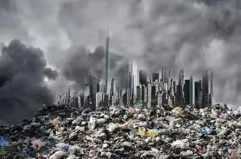 2025516