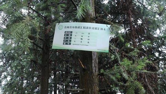 微信截图_20210713115246.png